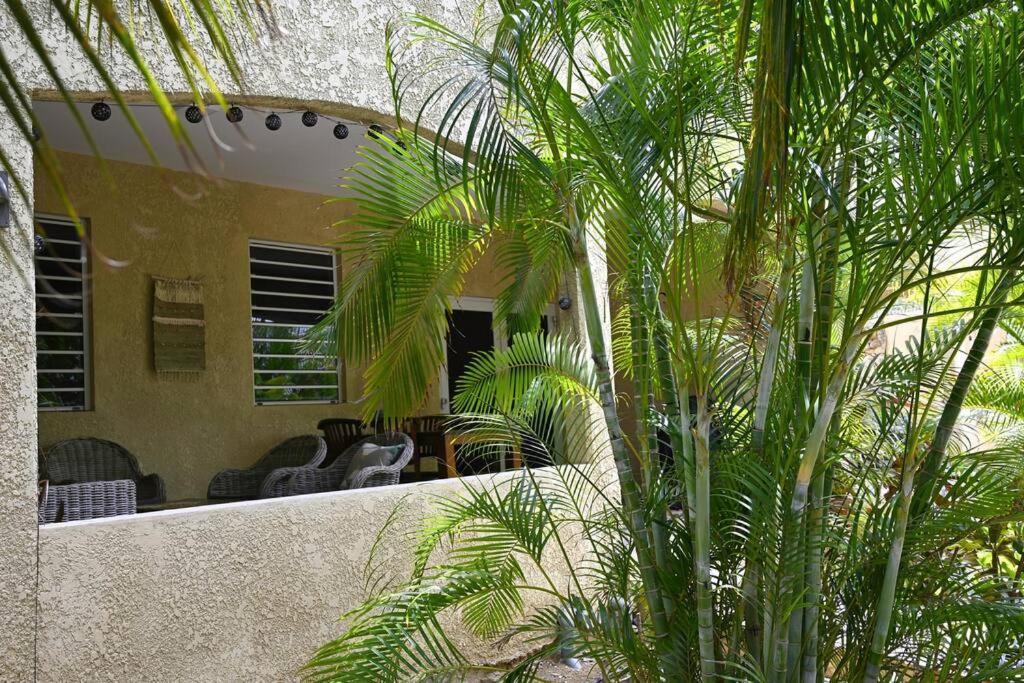 Caribbean Happyness Willemstad Exterior foto